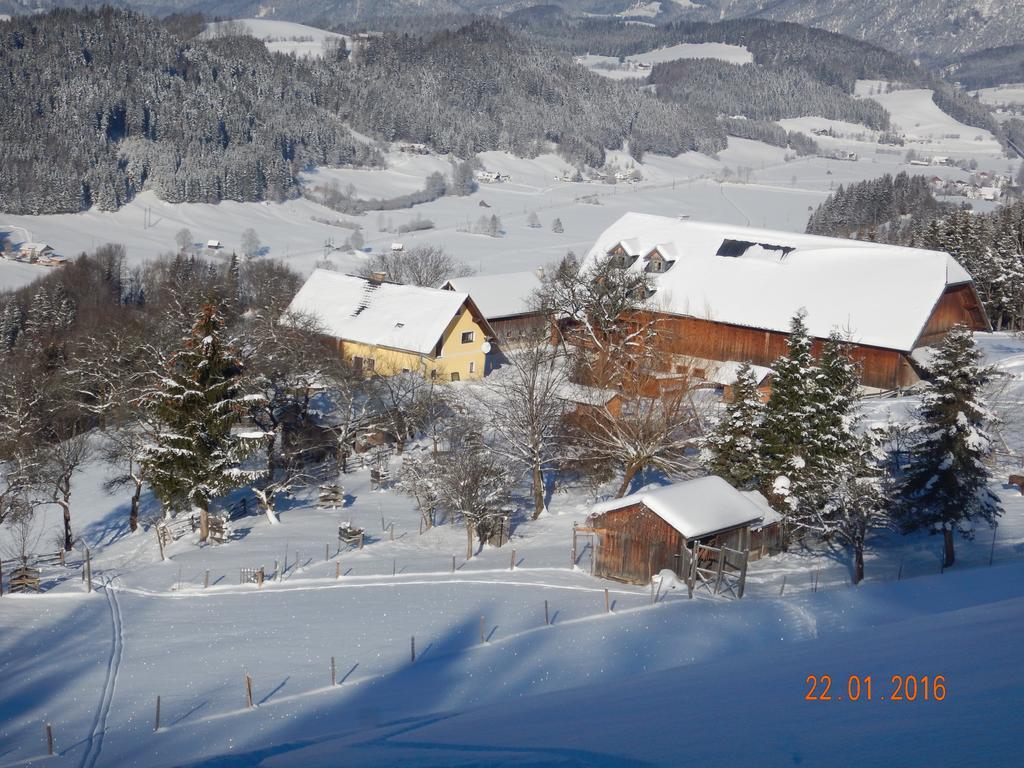 Berghof Thurnergut シュピタル・アム・ピュールン エクステリア 写真